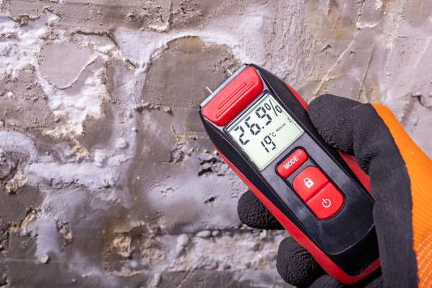 Best Certified Mold Removal  in Green River, WY