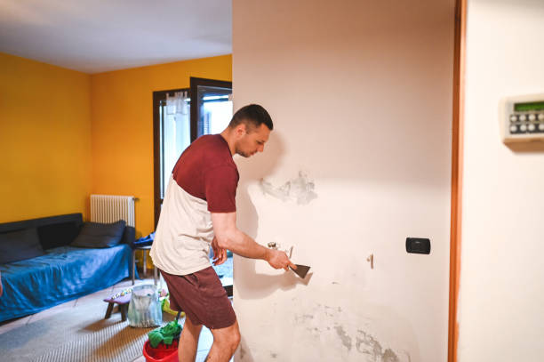 Best Professional Mold Removal  in Green River, WY